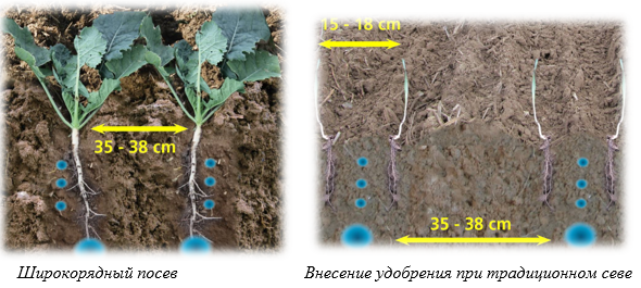 Широкорядный посев