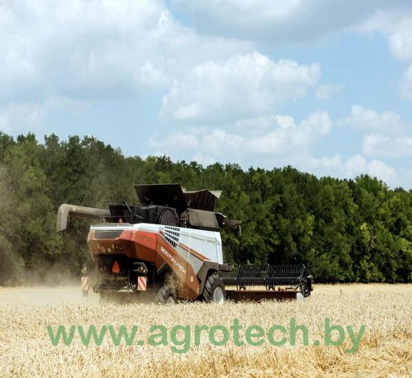 2. zernouborochnyj kombajn torum 785 4.jpg
