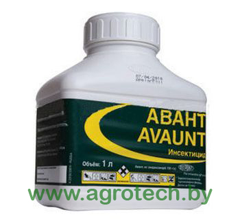 avant logo.jpg