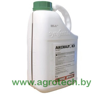 axial logo.jpg