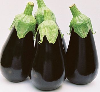blek perl.jpg