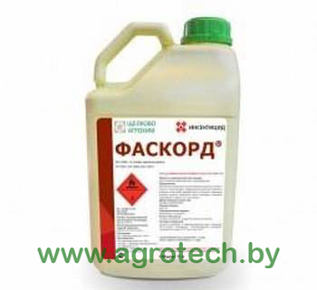 faskord logo.jpg
