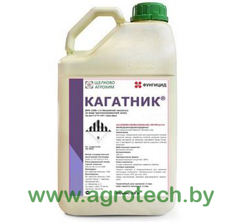 kagatnik logo.jpg
