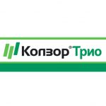 kolozor trio.jpg