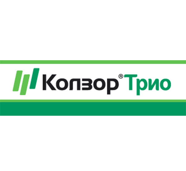 kolozor trio.jpg