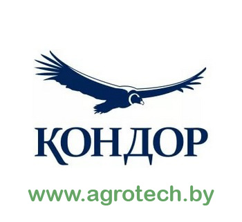 kondor logo.jpg
