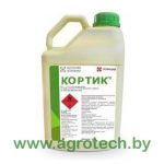 kortik logo.jpg