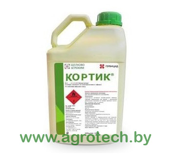 kortik logo.jpg