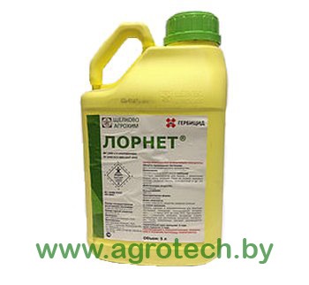 lornet logo.jpg
