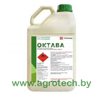 oktava logo.jpg