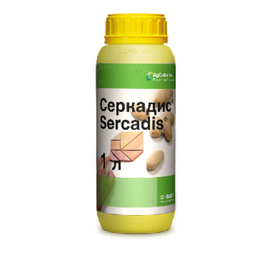 sercadis.jpg