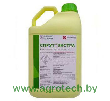 sprut extra logo.jpg