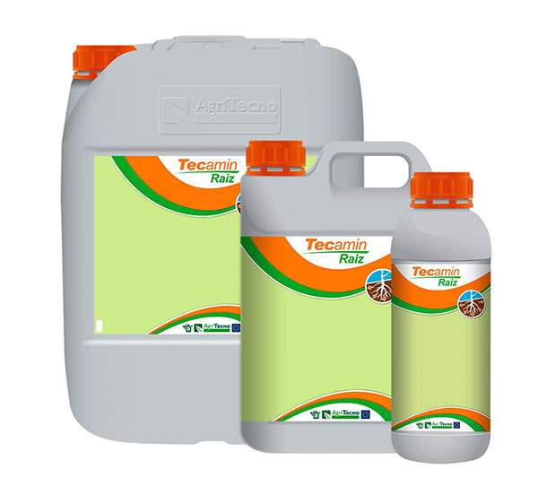 tecamin raiz .jpg