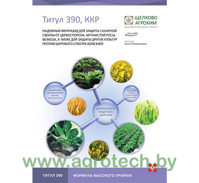 titul360.jpg