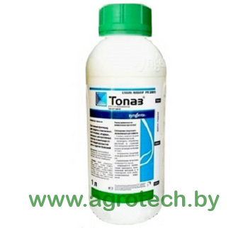 topas1l logo.jpg