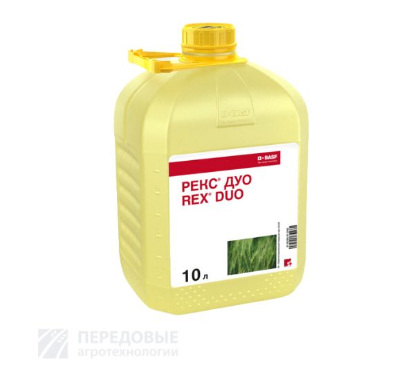 Рекс дуо