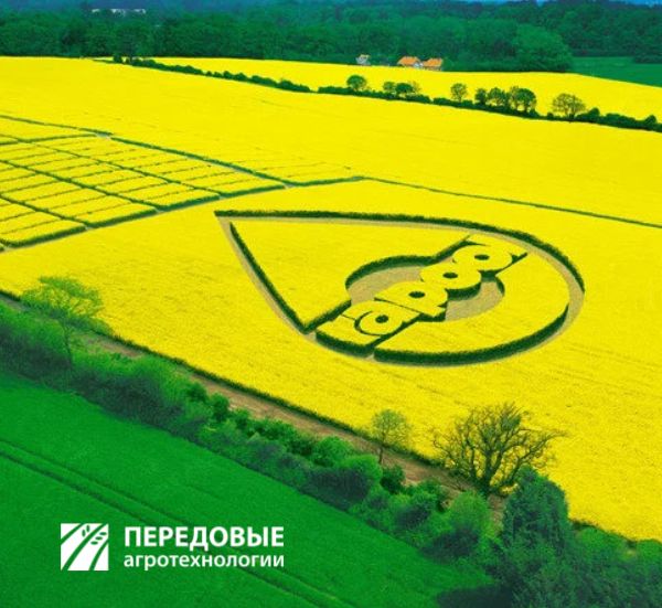 Дайнемик rapool рапс