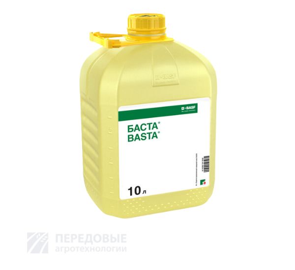 Баста, ВР