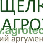 zastavka shhelkovo.jpg