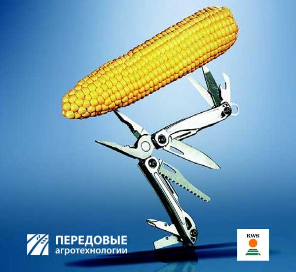 Амарок